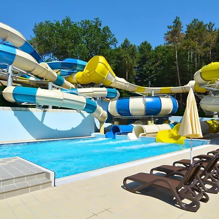 Aquaclub Grifid Bolero 골든샌드